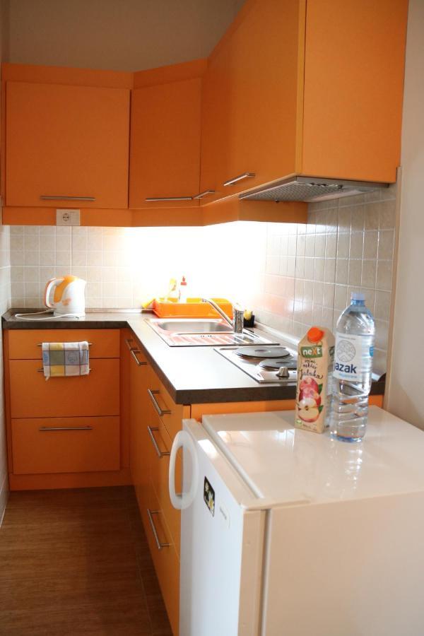 נובי סאד Apartment Centrum חדר תמונה